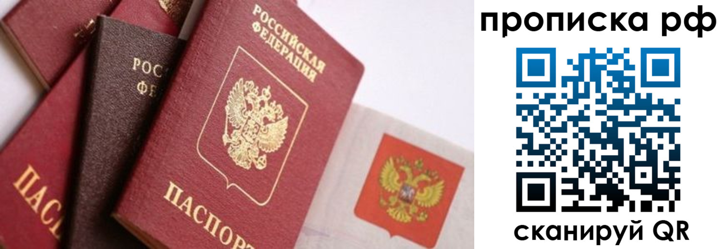 найти адрес прописки в Балашихе